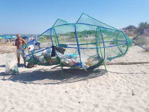 Bari, lungo la costa arrivano i "pesci mangiaplastica"